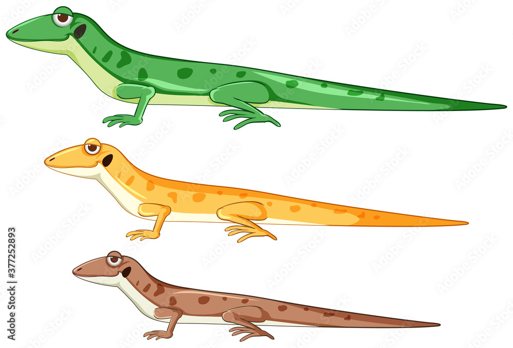 Geckos or lizards in different color cartoon style isolated