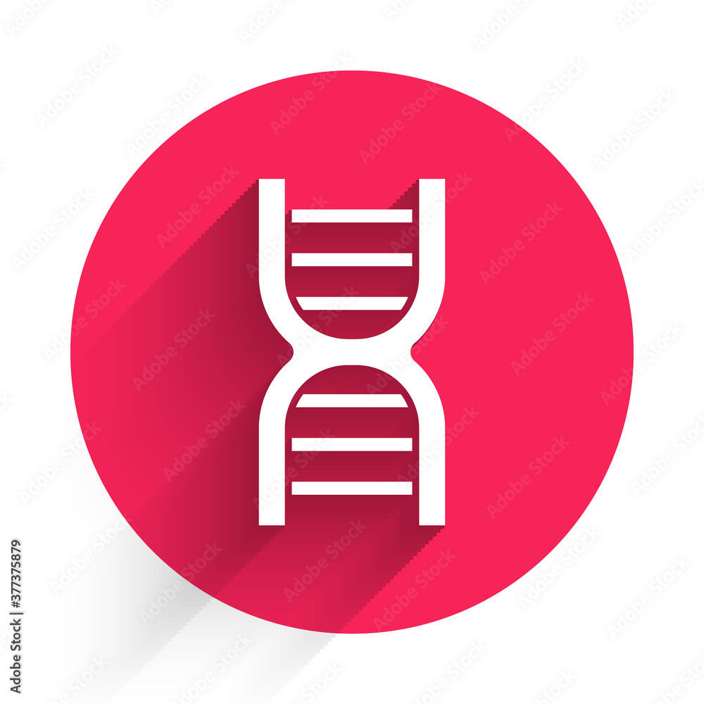 White DNA symbol icon isolated with long shadow. Red circle button. Vector.