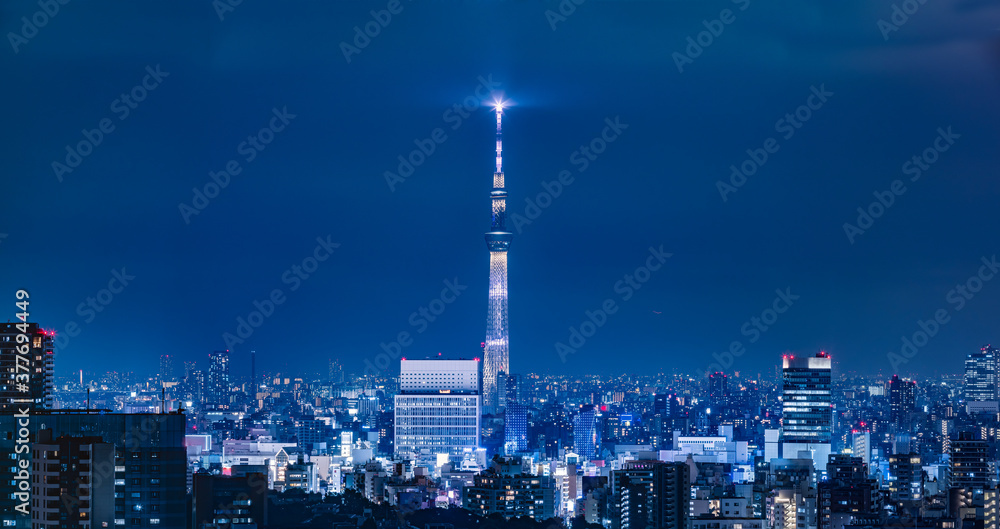 光が綺麗な東京の夜景