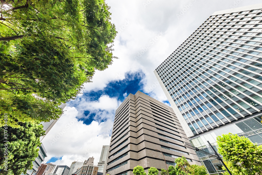 新緑が綺麗な東京のビル群