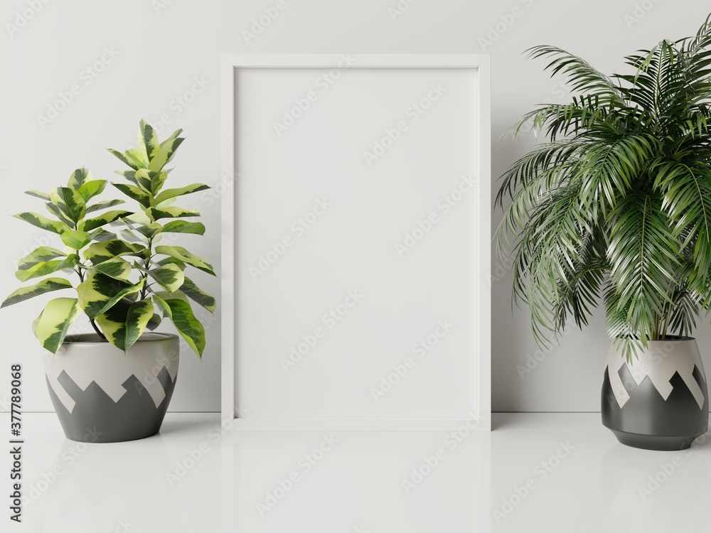 Interior poster mock up with plant pot,flower in room with white wall.