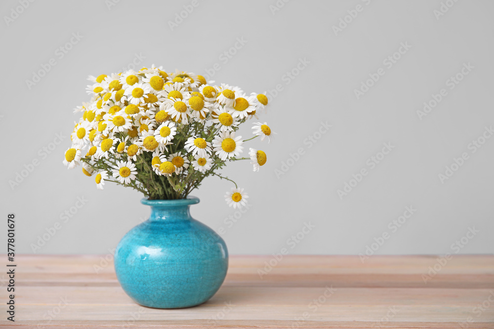 灰色背景下，桌上花瓶里的新鲜洋甘菊花的香气