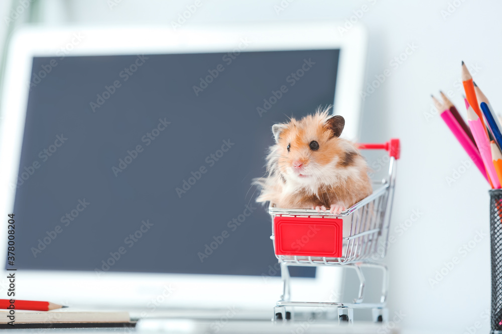 Cute hamster in small shopping cart on table