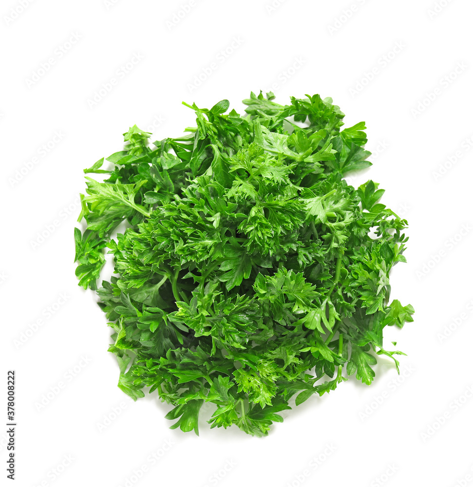 Fresh parsley on white background