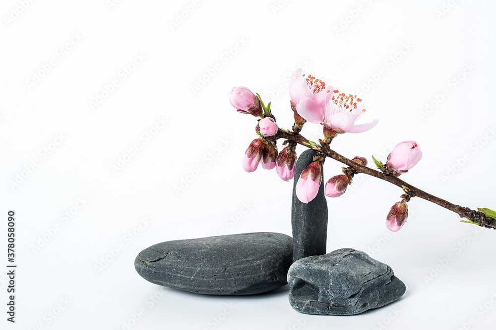 Peach blossom and pebble