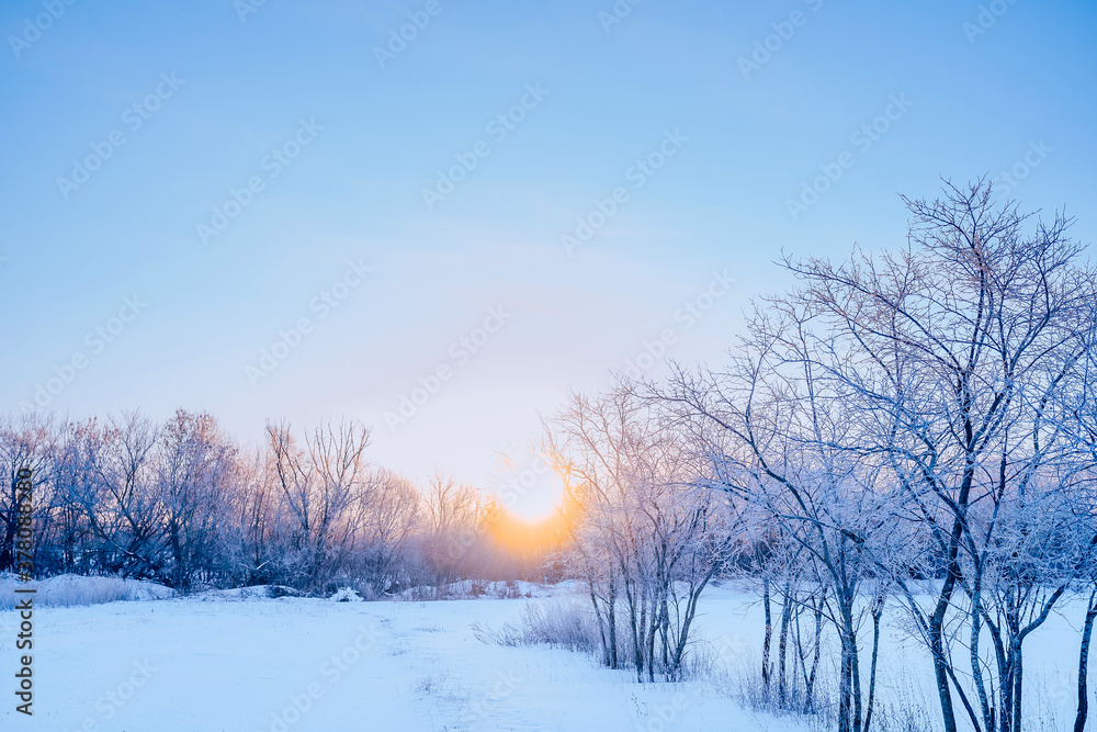 winter landscape in the Sunny patches of light snow and trees in frost