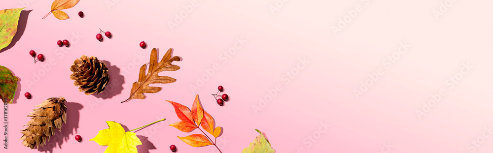 Colorful autumn leaves with pinecones overhead view - flat lay