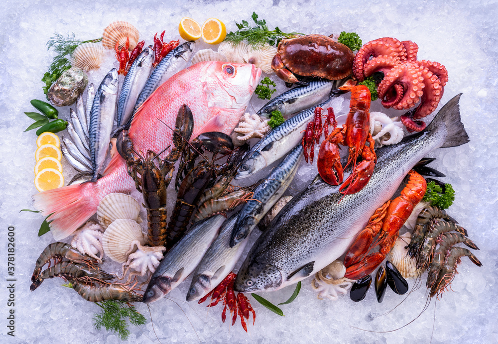 Fresh fish and seafood on ice pile