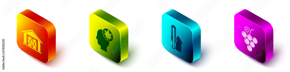 Set Isometric Farm house, Human head with leaf, Meteorology thermometer and Grape fruit icon. Vector