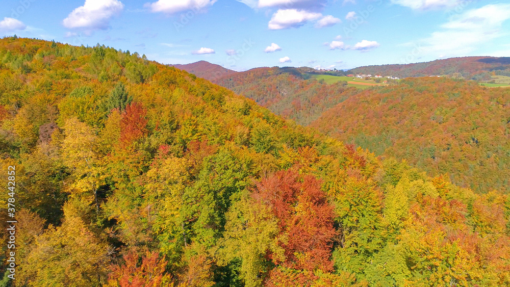 DRONE: Scenic view of the gorgeous autumn colored landscape in Kranjska Gora.