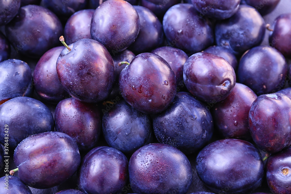 Many ripe plums as background