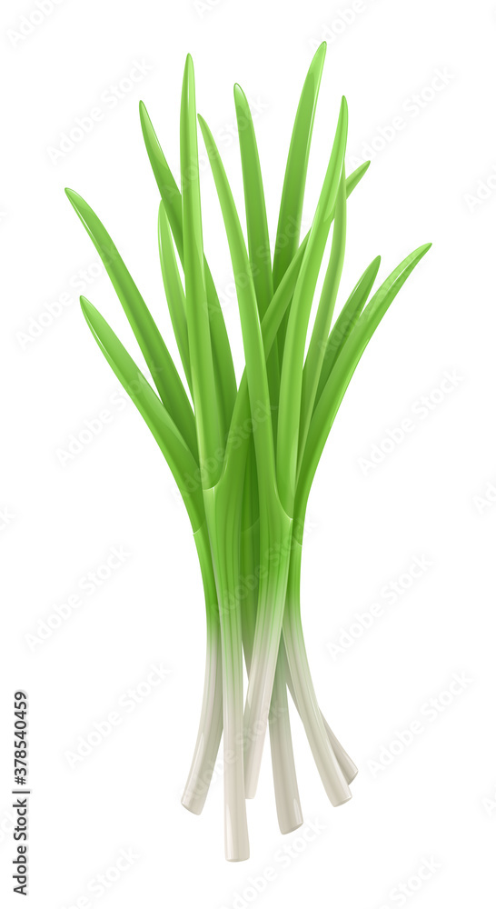 Green onion