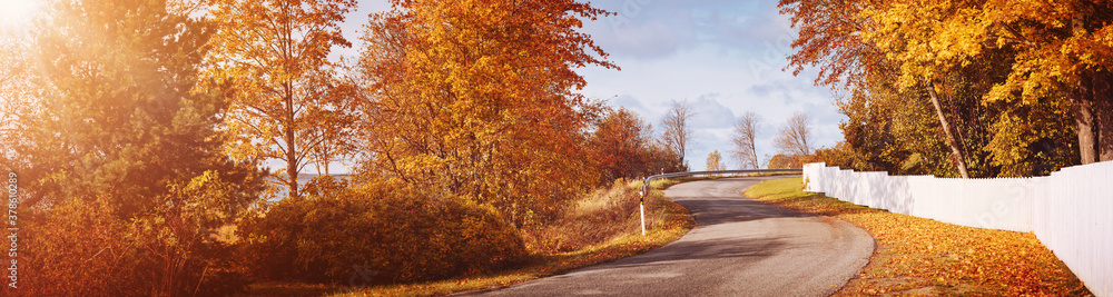 old asphalt road with beautiful trees in autumn