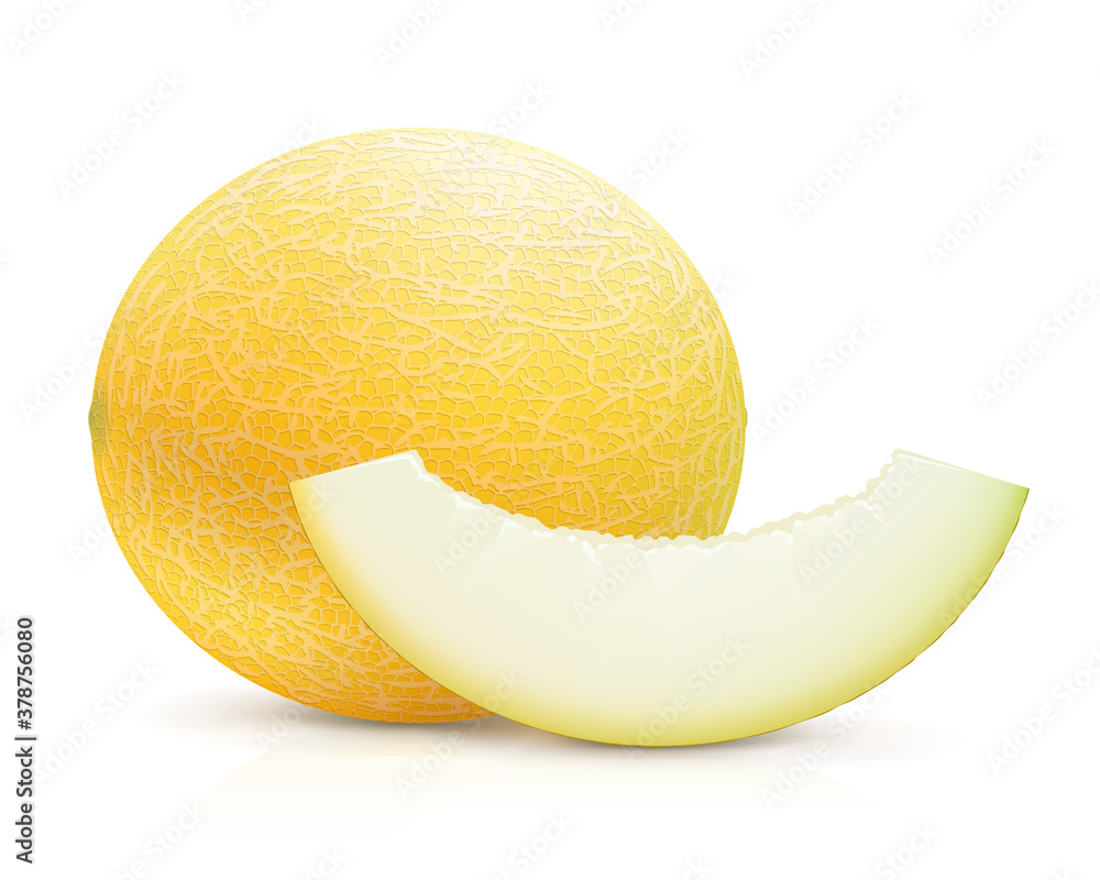 Melon