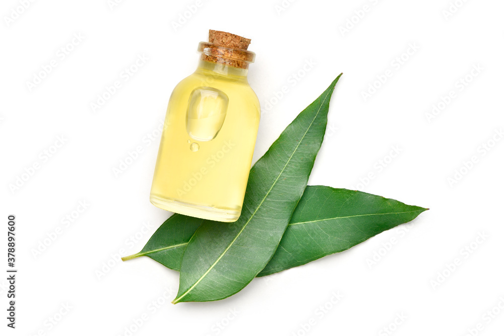 Top view of Eucalyptus Essential Oil with green leaves  isolated on white background.