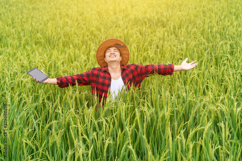 Happy Asian farmers succeed after using the research tablet and studying the development of rice var