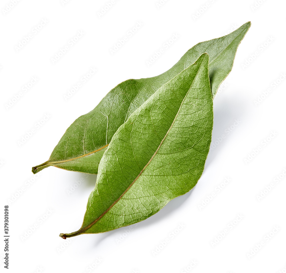 Two bay leaves isolated on white background. Macro.