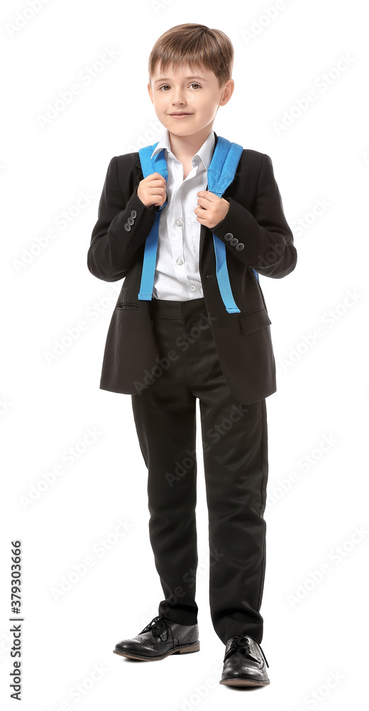 Little schoolboy on white background