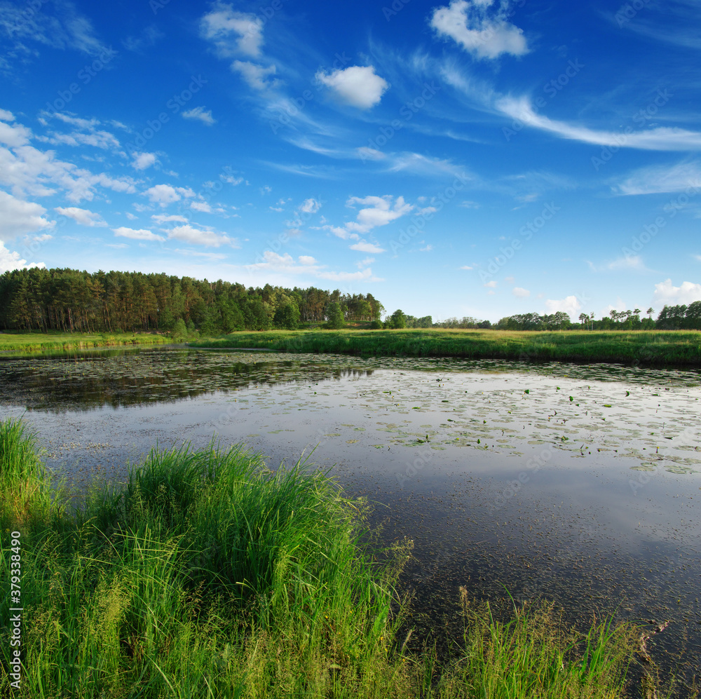 landscape with a river