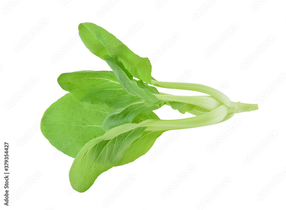 Top view of Bok choy vegetable isolated on white background