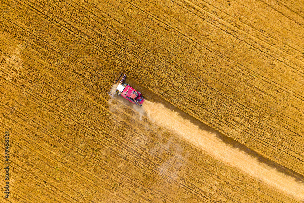 Top view of combine on harvest field