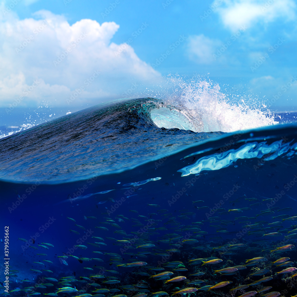 Blue Ocean Wave moving to a shore over Coral reef with underwater view full of fish. Splashing crest