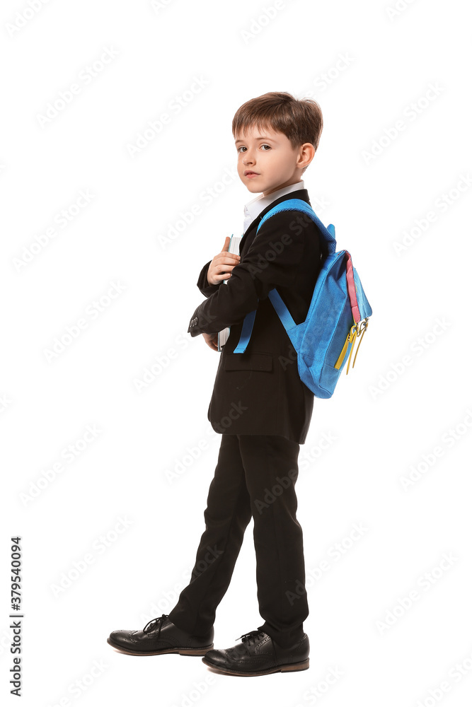 Little schoolboy on white background