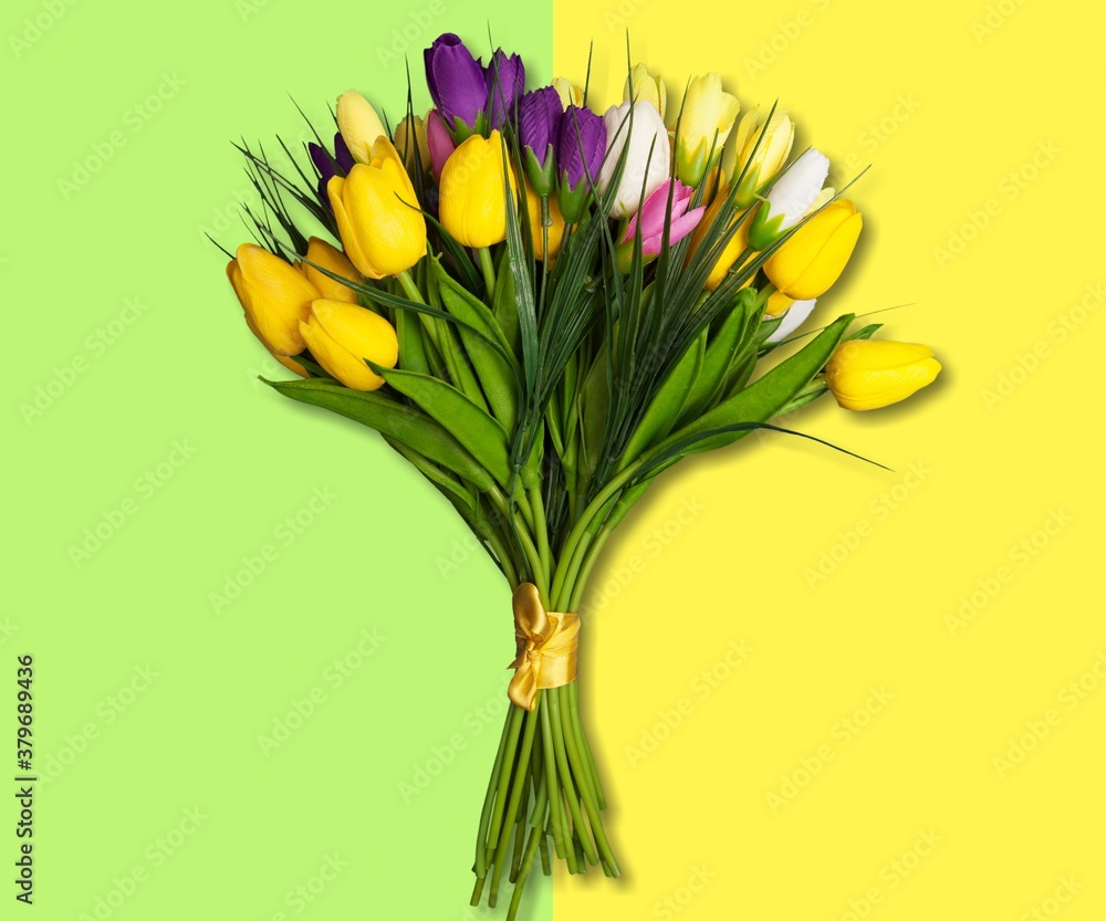 Different color tulips on colored background