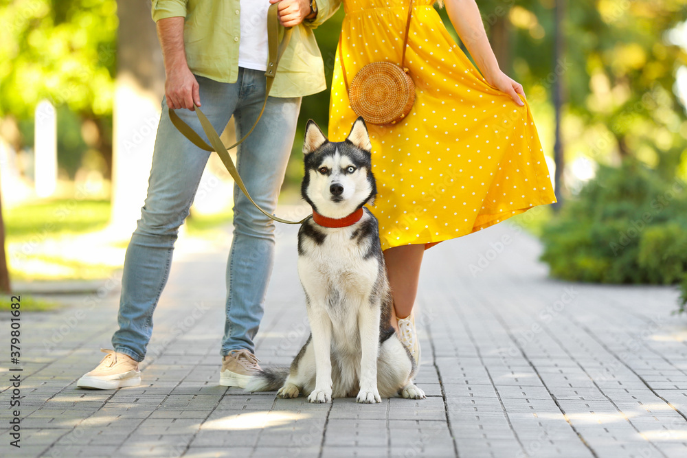 Young couple with cute Husky dog in park