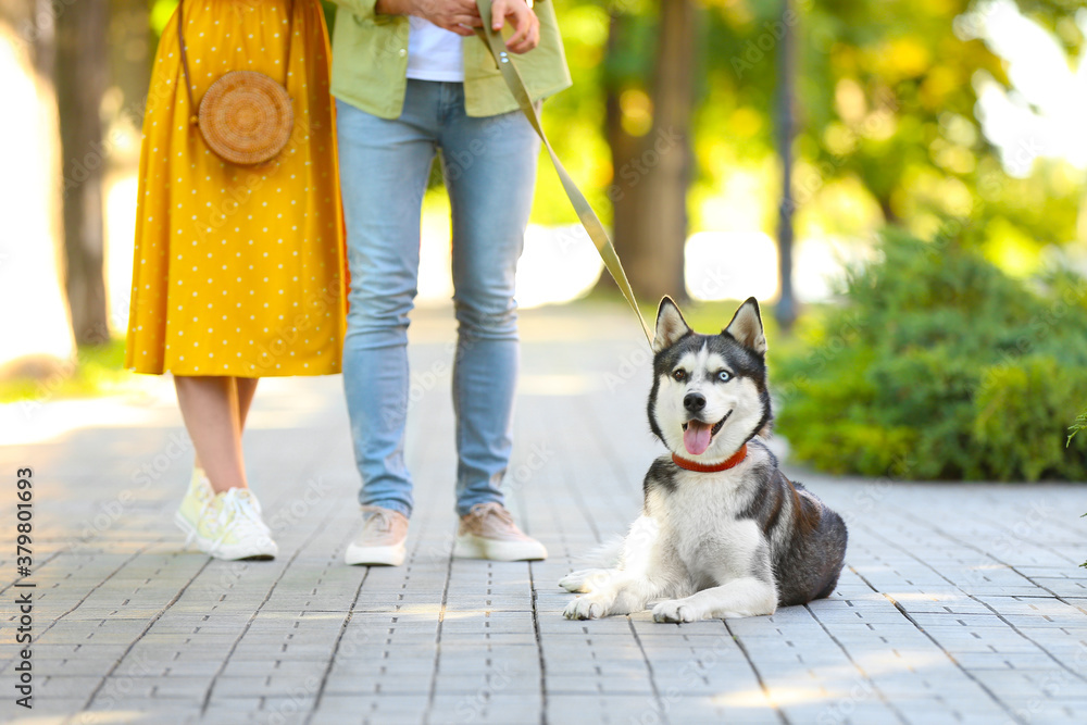 Young couple with cute Husky dog in park