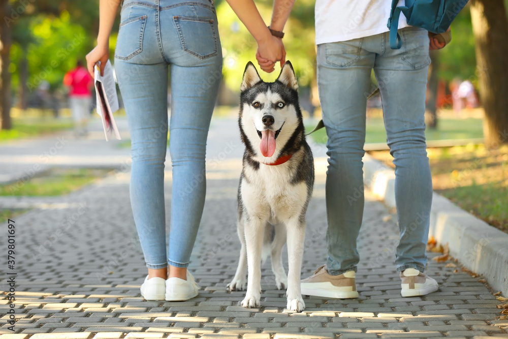 Young couple with cute Husky dog in park