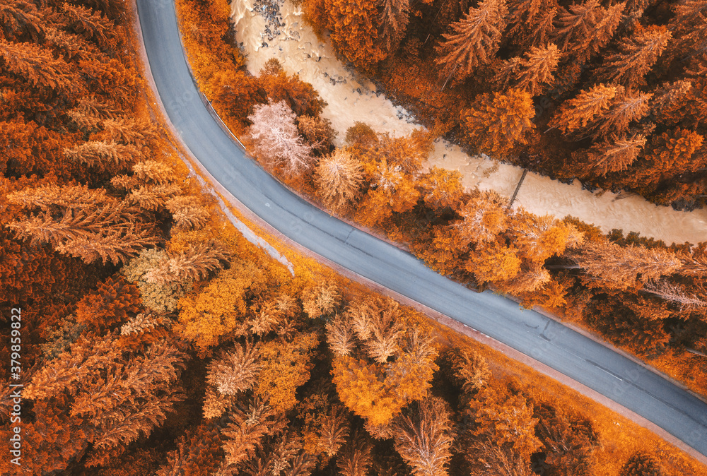 秋天日落时，美丽的橙色森林中的道路鸟瞰图。道路的彩色景观，