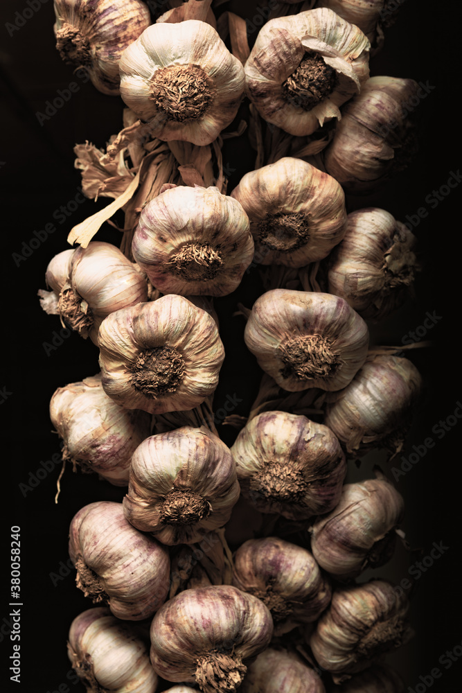 Garlic bulb in dark space