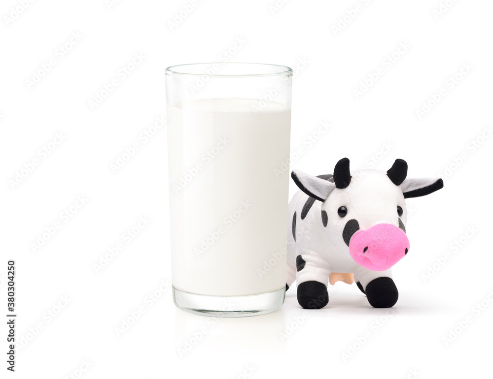 Glass of fresh milk with stuffed dairy cow isolated on white background.