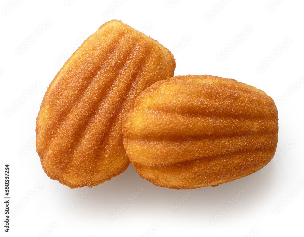 freshly baked Madeleines cakes