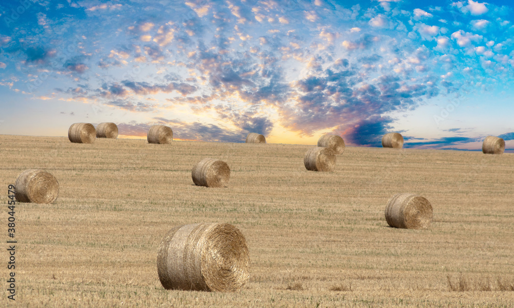 Bales on the field, big yellow round.