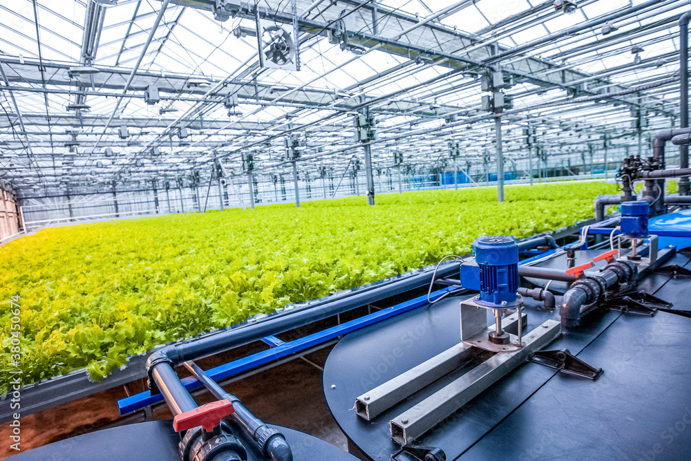 water conveying at hydroponic plantation