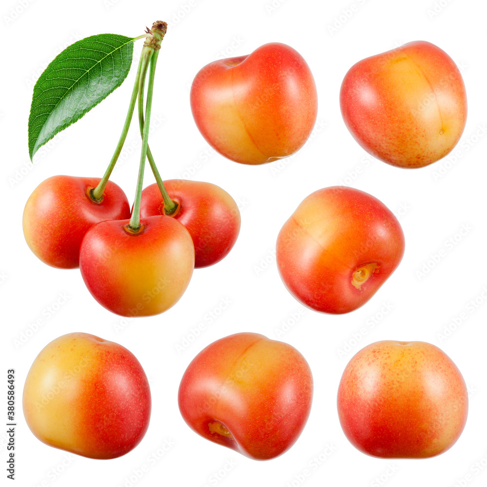 Cherry isolated. Yellow cherry. Cherries with leaves on white background. Sweet cherries on white. C