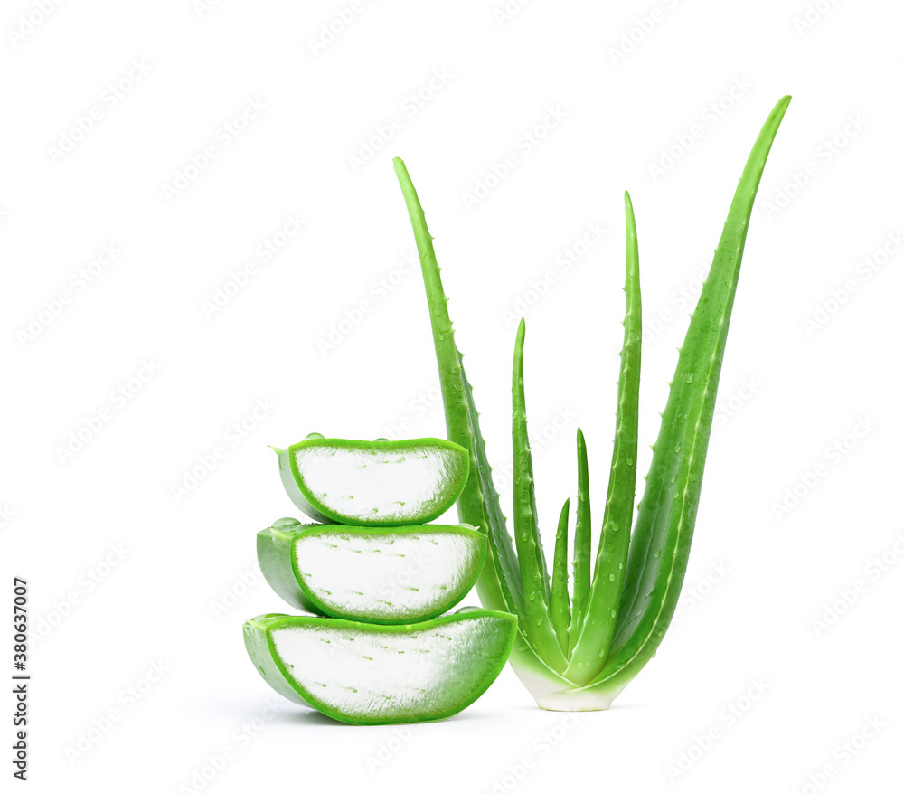 Aloe vera sliced with plant  isolated on white background.