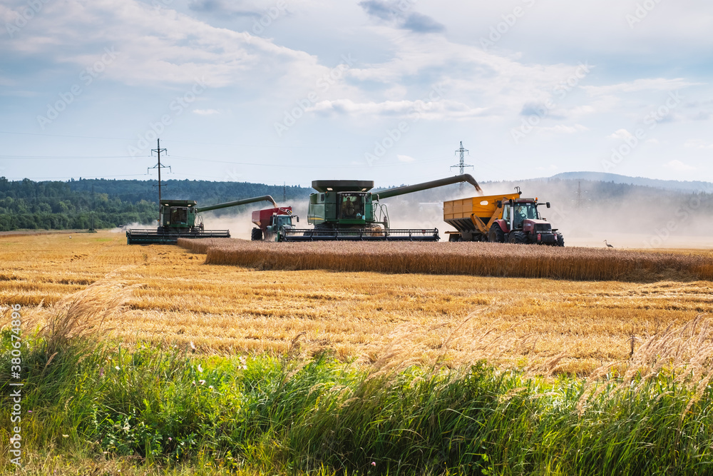 Harvesting wheat in autumn field. A modern tractor stands directly next to the harvester combine and