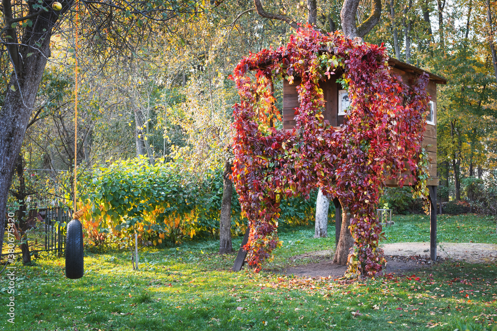 A house on a tree luminous from the inside and overgrown with red vine in an autumn garden