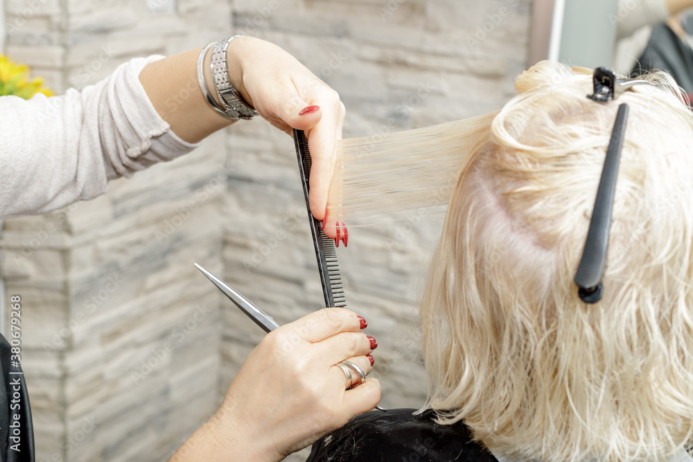 The female hands of a hairdresser stylist cutting a blonde woman