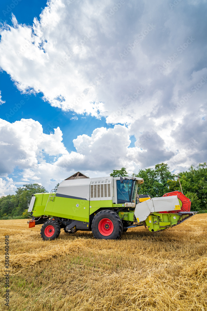 Combine working on the large wheat field harvesting yellow ripe wheat. Agricultural concept. Sunny d