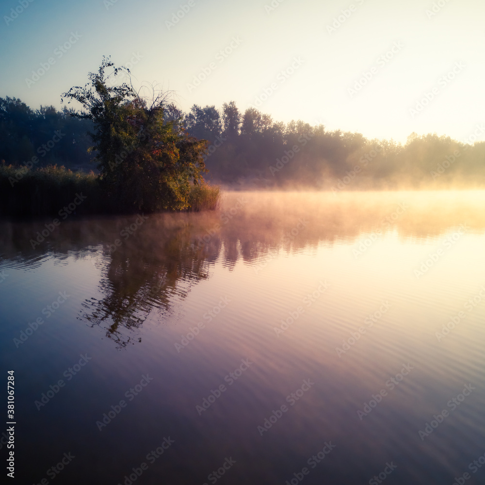 Morning by the ponds