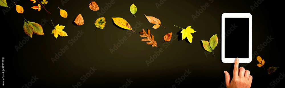 Autumn leaves with person using a tablet computer from above