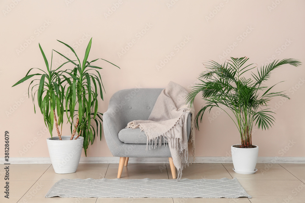 Stylish armchair with houseplants near light wall in room