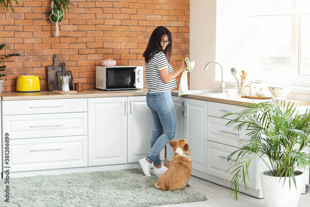 Woman with cute corgi dog in kitchen at home