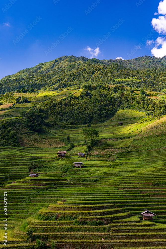 Terraced rice fields, Mu Cang Chai, Yen Bai, Vietnam