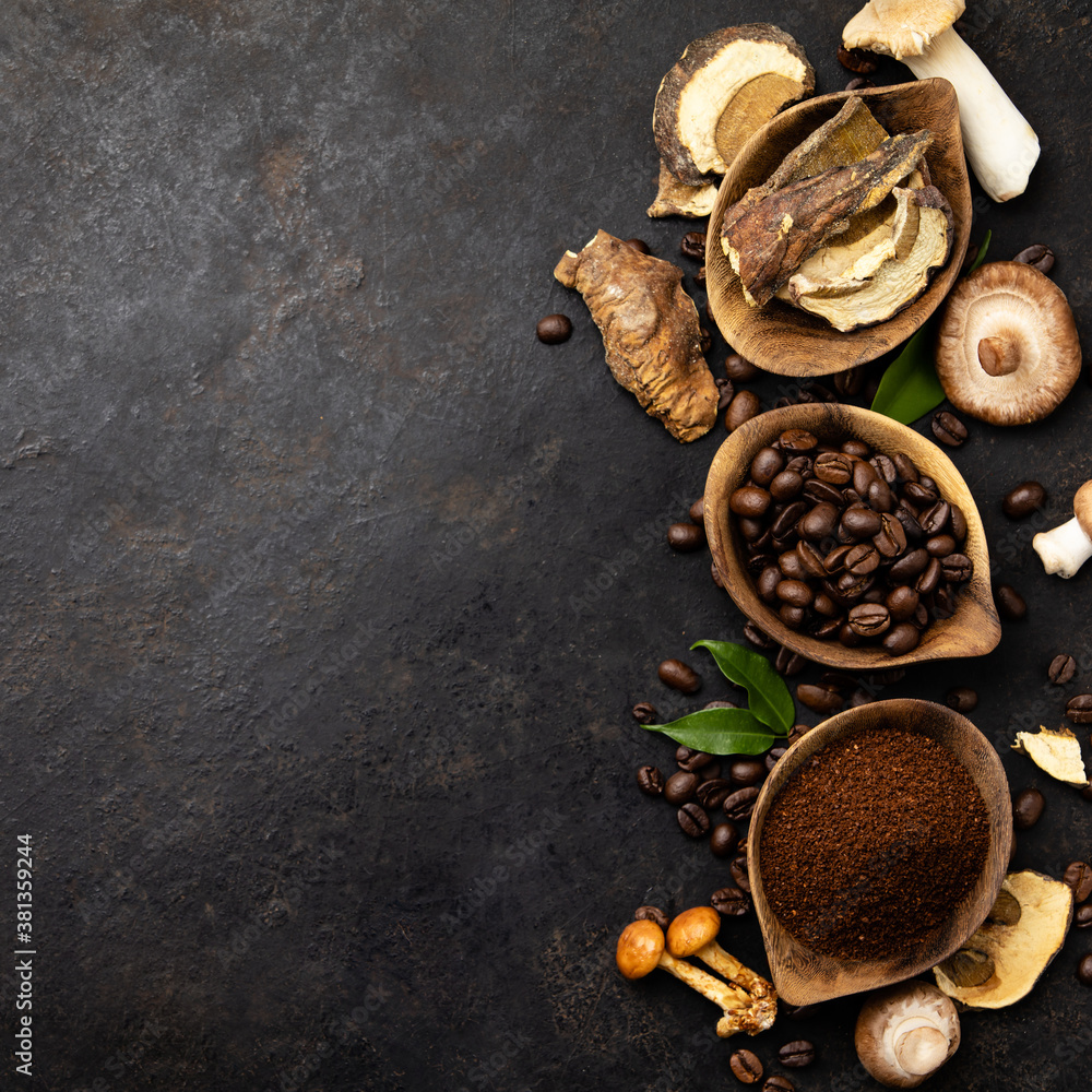 Mushroom Chaga Coffee Superfood Trend-dry and fresh mushrooms and coffee beans on dark background