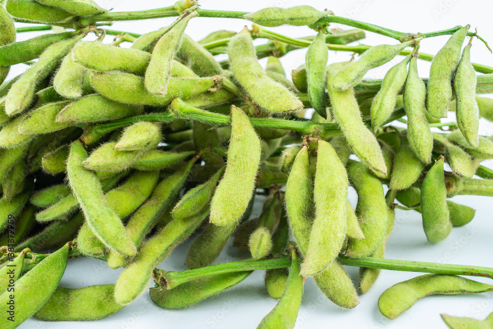 Fresh soybeans on white background